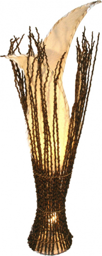  Kokostulpe