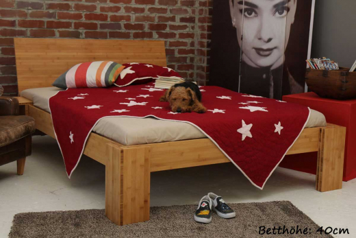 BURMA Bambusbett mit Rückenlehne Hainan 220x220cm