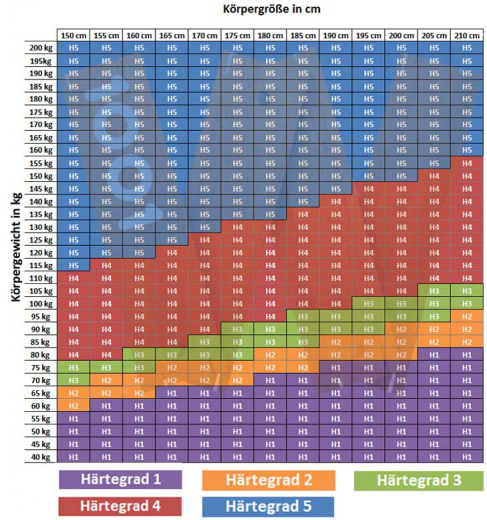 MALIE XXL 5-Zonen Tonnen-Taschenfederkern-Matratze H2 - H5 in 140x200cm