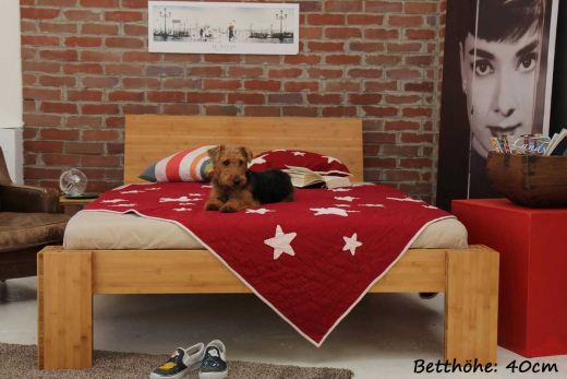 ANGEBOT Bambusbett BURMA 180x200cm mit Lattenrost und Matratze