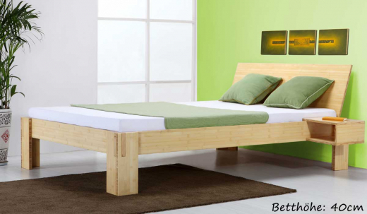 JAVA Bambusbett mit Rückenlehne Hainan 160x220cm