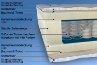 MALIE XXL 5-Zonen Tonnen-Taschenfederkern-Matratze H2 - H5 in 140x220cm
