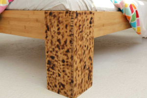 1081_5.jpg